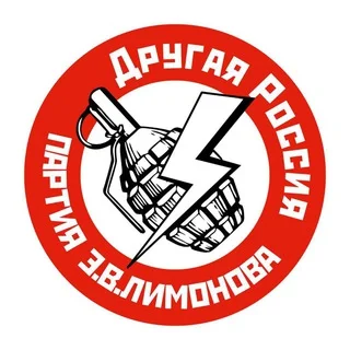 ЛЕНИНГРИБ  (нацболы)