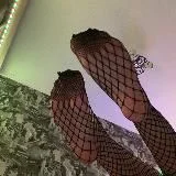 хитрые лапки Стиши